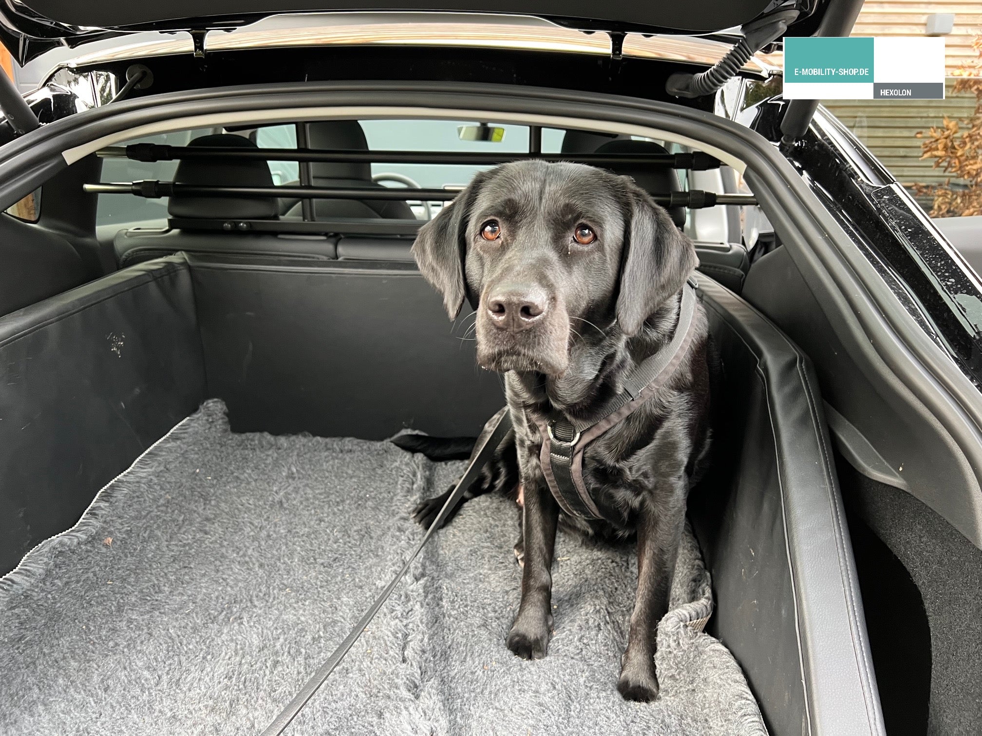 Tesla Model Y Dog Guard - Luggage Compartment Divider – E-Mobility Shop