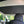 Tesla Model 3 sunshade elements 4-piece set - for all M3 except 2021 US production